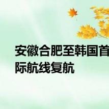 安徽合肥至韩国首尔国际航线复航
