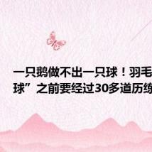 一只鹅做不出一只球!羽毛在成“球”之前要经过30多道历练