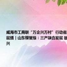 威海市工商联“万企兴万村”行动省级典型案例展播|山东樱聚缘:三产融合发展 赋能乡村振兴