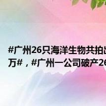 #广州26只海洋生物共拍出2100万#,#广州一公司破产26