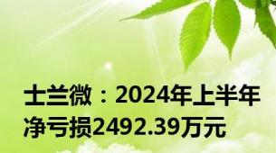 士兰微：2024年上半年净亏损2492.39万元