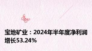 宝地矿业：2024年半年度净利润增长53.24%