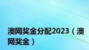 澳网奖金分配2023（澳网奖金）