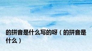 的拼音是什么写的呀（的拼音是什么）