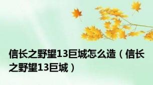 信长之野望13巨城怎么造（信长之野望13巨城）