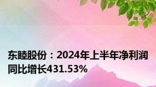 东睦股份：2024年上半年净利润同比增长431.53%