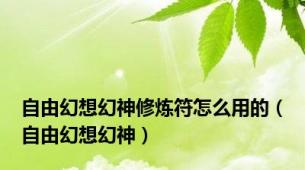 自由幻想幻神修炼符怎么用的（自由幻想幻神）