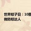 世界蚊子日：10图教你做防蚊达人