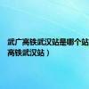 武广高铁武汉站是哪个站（武广高铁武汉站）