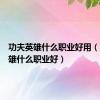 功夫英雄什么职业好用（功夫英雄什么职业好）