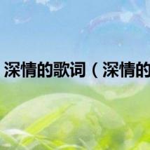 深情的歌词（深情的歌）