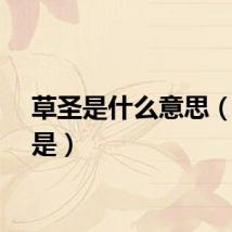 草圣是什么意思（草圣是）