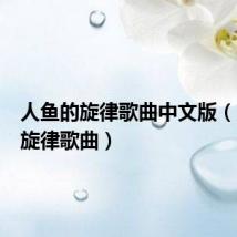 人鱼的旋律歌曲中文版(人鱼的旋律歌曲)