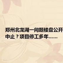 郑州北龙湖一问题楼盘公开拍卖又中止?项目停工多年……