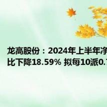龙高股份:2024年上半年净利润同比下降18.59% 拟每10派0.77元