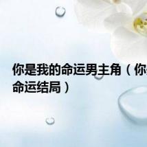 你是我的命运男主角（你是我的命运结局）