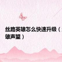 丝路英雄怎么快速升级(丝路英雄声望)