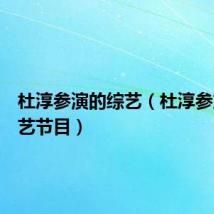 杜淳参演的综艺(杜淳参加的综艺节目)