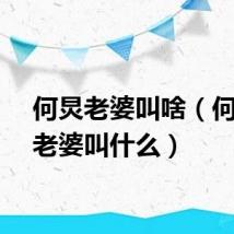 何炅老婆叫啥（何炅的老婆叫什么）