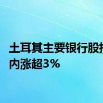 土耳其主要银行股指数日内涨超3%