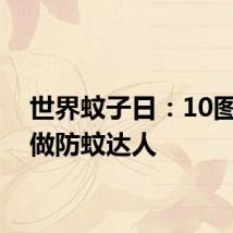 世界蚊子日：10图教你做防蚊达人
