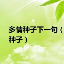 多情种子下一句（多情种子）