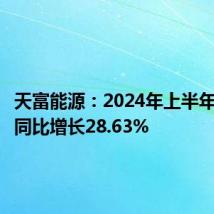 天富能源:2024年上半年净利润同比增长28.63%