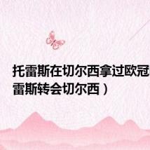 托雷斯在切尔西拿过欧冠吗(托雷斯转会切尔西)