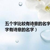 五个字比较有诗意的名字(5个字有诗意的名字)