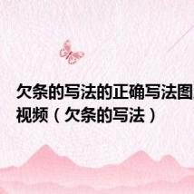欠条的写法的正确写法图片大全视频(欠条的写法)