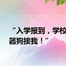 “入学报到，学校派机器狗接我！”