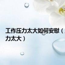 工作压力太大如何安慰(工作压力太大)