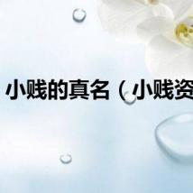 小贱的真名（小贱资料）