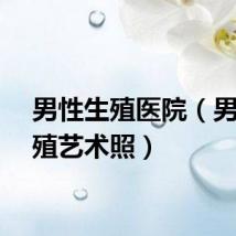 男性生殖医院（男性生殖艺术照）