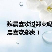 魏晨喜欢过郑爽吗（魏晨喜欢郑爽）