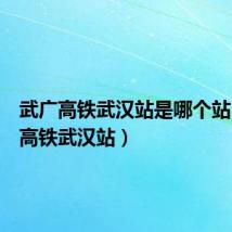 武广高铁武汉站是哪个站（武广高铁武汉站）
