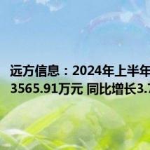 远方信息:2024年上半年净利润3565.91万元 同比增长3.76%