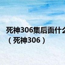 死神306集后面什么情况(死神306)