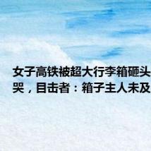 女子高铁被超大行李箱砸头崩溃痛哭，目击者：箱子主人未及时道歉