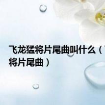 飞龙猛将片尾曲叫什么(飞龙猛将片尾曲)
