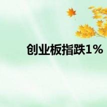 创业板指跌1%