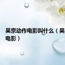 吴京动作电影叫什么（吴京动作电影）
