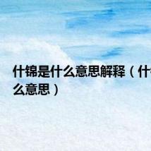 什锦是什么意思解释（什锦是什么意思）