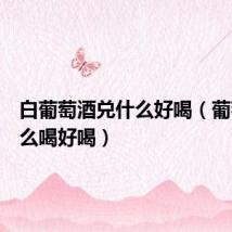 白葡萄酒兑什么好喝(葡萄酒怎么喝好喝)