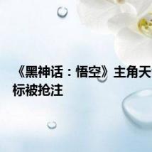 《黑神话:悟空》主角天命人商标被抢注