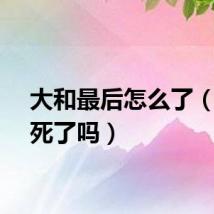 大和最后怎么了（大和死了吗）