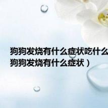 狗狗发烧有什么症状吃什么药好(狗狗发烧有什么症状)