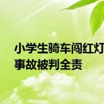 小学生骑车闯红灯发生事故被判全责