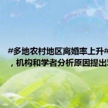#多地农村地区离婚率上升#引关注,机构和学者分析原因提出对策