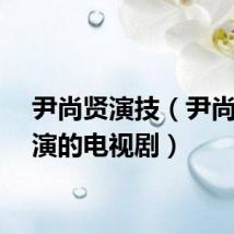 尹尚贤演技（尹尚贤主演的电视剧）